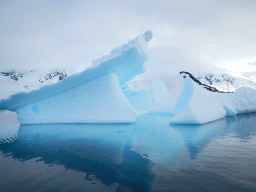Antarctica  - Icebergs